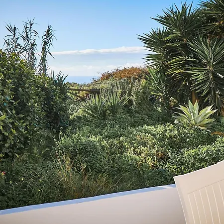 Lejlighed Casa Alegria *